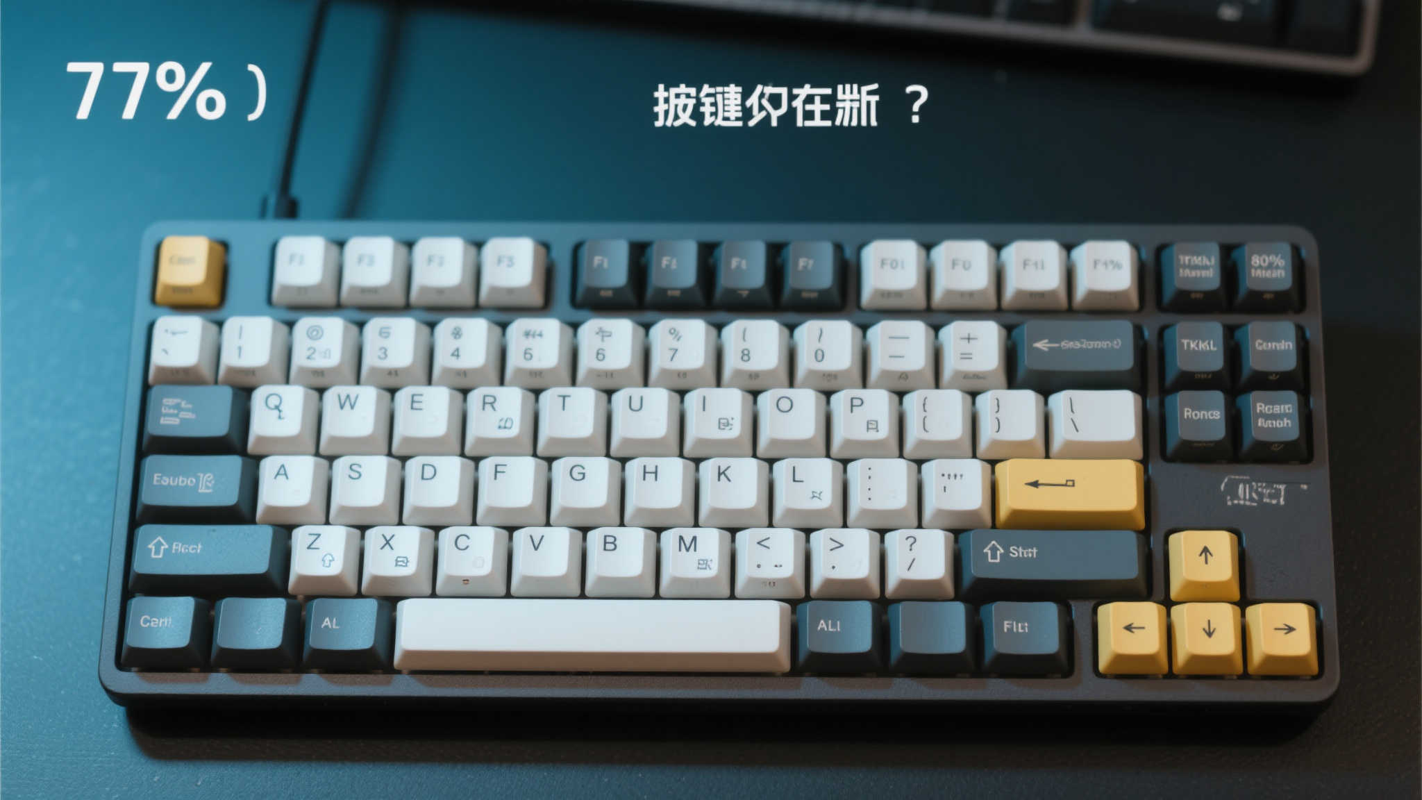 PA真人视讯
